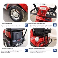 Scooter électrique à 4 roues pour 2 personnes avec auvent, moteur sans balais, quadricycle assisté pour personnes âgées