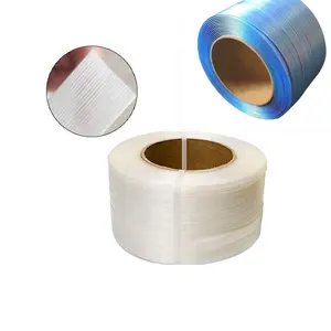 Recyclebaar 19Mm X 600M Polyester Balencomposiet Band Voor De Houtindustrie