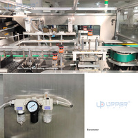 Machine d'emballage de boîtes horizontales de viande congelée Machine d'emballage de petites boîtes en carton à colle pulvérisée pliante automatique
