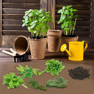 Bonsai macetas jardín cultivo herramientas kit <span class=keywords><strong>colgante</strong></span> maceta macetas de jardín interior al aire libre - Product Image 2