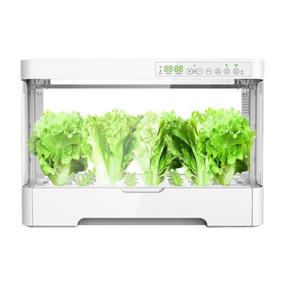 Smart Soilless Garden Hydroponic Lettuce Planting Machine Plastic Flower Pot for Vegetable Cultivation