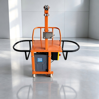 Treuil électrique 220V avec panier de levage pour une personne, capacité 250kg, moteur 1500W, vitesse 14m/min, commande par câble pour la construction