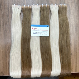 Venta al por mayor caliente verano 2025 100% Extensiones de cabello de cinta recta natural vietnamita Cinta dibujada doble Ins Hair - Product Image 1