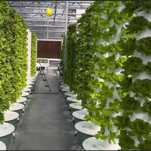 Tour verticale aéroponique à 6 7 8 9 10 couches Système de plantation hydroponique Tour verticale pour l'agriculture en <span class=keywords><strong>serre</strong></span> avec lumière LED - Product Image 3