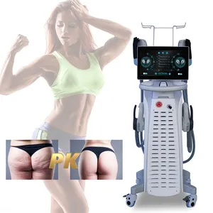 2024 Taibo Hot Sell Slim 4 Handvatten Ems Verlies Elektrische Rf/Elektrische 2024 Machine Te Koop 2024 Taibo Beauty Beste Aanbieding Machine