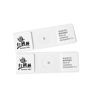Índice de refracción de los tallos de plantas dicotiledonosas; sección transversal clara de la estructura del tallo de la planta; rebanadas biológicas. - Product Image 1