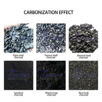Machine continue de carbonisation de la biomasse sciure de bois noyau de palme coquille de noix de coco charbon de bois faisant la machine machine à briquettes
