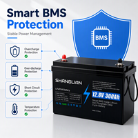 Batterie LiFePO4 12,8 V 300 Ah avec BMS intelligent intégré, batterie au phosphate de fer et de lithium à décharge profonde pour solaire, camping-car et marine.