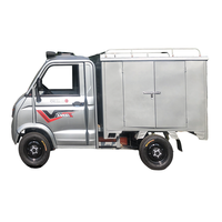 Explorateur d'usine vend des mini camionnettes Cargo camion électrique à quatre roues motrices