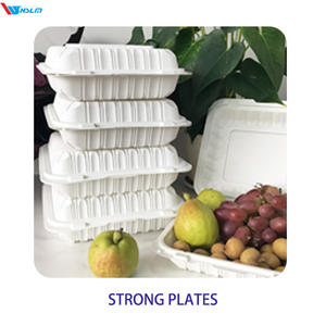 Contenitori da asporto personalizzabili direttamente in fabbrica contenitori da pranzo refrigerabili rettangolari usa e getta - Product Image 5