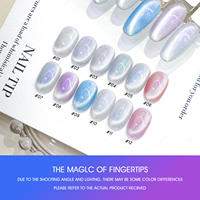 Nouveau produit AMO – Vernis à ongles gel œil de chat magnétique 12 couleurs, collection œil de chat polaire, sans TPO ni HEMA, OEM ODM, vernis gel UV
