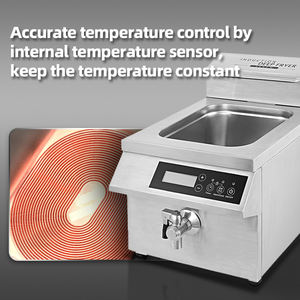 Friggitrice elettrica commerciale 8L/12L con controllo a manopola in acciaio inox che solleva friggitrice profonda con filtro per ristorante - Product Image 2