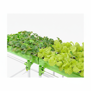 Grand kit de serre hydroponique aquaponique modulaire Système de plantes en pot Outils agricoles économiques Légumes Herbes Fleurs Maison - Product Image 1