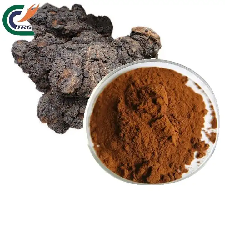 Giá tốt nhất 30% Polysaccharide Chaga nấm Mushroom extract bột