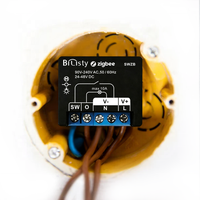Bilihondim Zigbee Gateway Smart Box Switch 1 canal 200W sans fil portée 30m commande vocale compatible avec Alexa Google Home