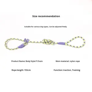 Beliebte feste Muster Nylon geflochtene P-Kette Hund Wanders eil Leine Modestil Explosions geschützte Hunde leine - Product Image 2
