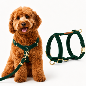 <span class=keywords><strong>Harnais</strong></span> pour <span class=keywords><strong>chien</strong></span> personnalisé ensemble de colliers en laisse logo en forme de Y doux rembourré réfléchissant réglable course à pied <span class=keywords><strong>harnais</strong></span> pour animaux de compagnie personnalisé - Product Image 3
