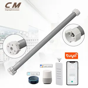 Hot Sale 25mm Tuya Wifi ZigBee Automatischer Vorhang motor Smart Blind Zebra Lithium Batterie Motorisierte Rollos Motor