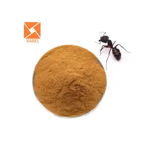 까만 개미 건강 관리 제품 까만 개미 임금 분말 검정 개미 추출물