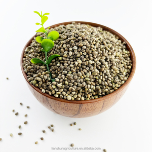 بذور القنب الزراعية للطيور، حجم صغير (3.5 مم) - طعام طيور - Product Image 5