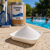 CYA20260920E Approvisionnement en acide cyanurique pour les développeurs de produits d'entretien de piscines