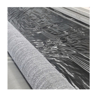 Feuille composite auto-cicatrisante en bentonite haute densité, imperméable, pour le traitement des eaux usées des décharges, anti-infiltration, drainage, jardin