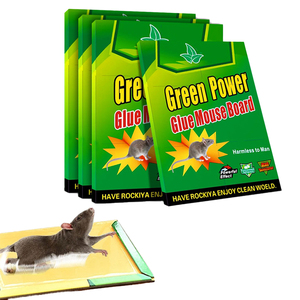 Trampas de Pegamento para Ratones Desechables y Ecológicas de Guangdong para Uso en Interiores y Granjas - Product Image 1