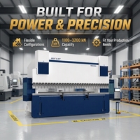 Presse plieuse hydraulique CNC Hans Laser 3200 mm pour le traitement des tôles métalliques, conformité CE ISO