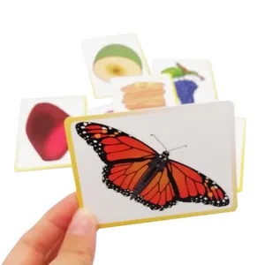 נייר הדפסה מותאמת אישית מדבר פוניקה כרטיסי פלאש צעצועי למידה מודפסים באיכות גבוהה כרטיסי למידה אוריינות לילדים