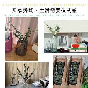 Plante d'eucalyptus artificielle en plastique, fausse fleur, 30 cm-100 cm, décoration d'intérieur, décoration de mariage - Product Image 4