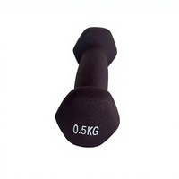 Mini haltères légers en néoprène et fonte pour le yoga, le Pilates et l'exercice physique complet, unisexe, finition mate
