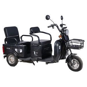 Electric Tricycle Compact Home-use Cargo Vehicle Open Body Seniors Ideal E-<strong>bike</strong> Women <strong>Pick</strong> Drop Children Electric Motorcycles - Product Image 1