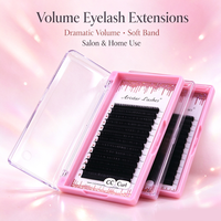 Extensions de cils individuelles faites à la main, volume complet, 0,03 c 9 mm, en PBT, avec courbure CC/DD, style mat, emballage en boîte, vente en gros