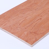 Contreplaqué en bois dur d'eucalyptus imperméable et résistant aux intempéries 4x8 pieds pour la décoration intérieure des bâtiments
