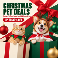 Bavoirs et chapeaux décoratifs de Noël pour animaux de compagnie (chats et chiens) – Style Instagram – Cadeaux de fêtes – Vente en gros directe usine