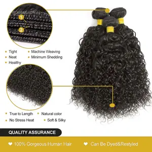 Water Wave Human Weft Hair Bundles Temple Hair Vendor 100% Unprocessed Brazilian Natural Form Raw Indian