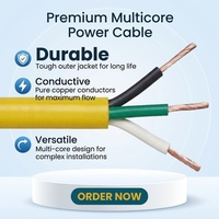 Cable de Cobre Libre de Oxígeno RVV 60227 IEC 53, Cable de Alimentación Eléctrica Multifilar Redondo Flexible con Revestimiento de PVC