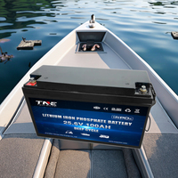Batterie au lithium fer phosphate LiFePO4 OEM 24V 50Ah 100Ah pour camping-car, caravane, moteur de pêche à la traîne avec Bluetooth