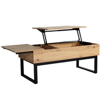 Table basse moderne en plastique avec plateau relevable, rangement dissimulé, étagère réglable, meubles de salon