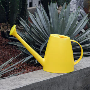 DD2353 عصرية وعاء ماء صغير مع فوهة طويلة 1/2 جالون يمكن ري صغير للنباتات داخل المنزل في الهواء الطلق زهرة الحديقة - Product Image 4
