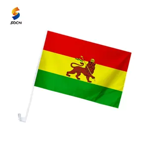 Индивидуальная цифровая печать, яркие флаги всех типов Ирана, Египта, Эфиопии, Мальдив, Алжира, Самоа, старой Джорджии, пользовательские флаги