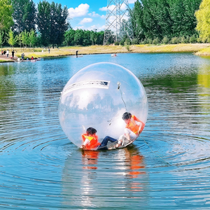 Pelota Inflable Transparente para Caminar sobre el Agua, de PVC, para Parques Acuáticos y Piscinas, Equipo de Juego Comercial - Product Image 1