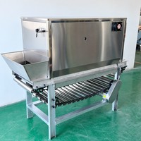 Commerciële automatische ui- en knoflookschilmachine 200-1000 kg/uur, eenvoudige bediening, lange levensduur, geschikt voor fruit en groenten