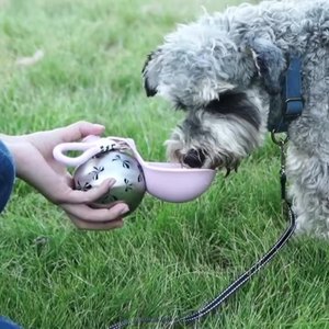 Cute Stainless Steel Dog Travel Bottle With Foldable Silicone Bowl Leakproof Portable Puppy Canteen For Walking Camping - Product Image 6