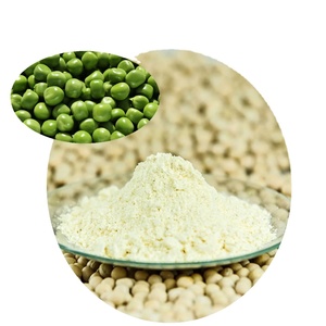 Giá sỉ Bột <span class=keywords><strong>protein</strong></span> đậu Hà Lan chất lượng cao, cấp thực phẩm, hàm lượng <span class=keywords><strong>protein</strong></span> 80% 90%, đóng gói số lượng lớn 25kg - Product Image 3