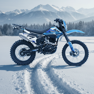 Moto tout-terrain GX-CQR-PR300 GAS pour adultes, 21HP, <span class=keywords><strong>4</strong></span> <span class=keywords><strong>temps</strong></span>, 300cc, monocylindre, démarrage électrique, refroidissement par air à 2 pistons, NIBBI PE30 - Product Image 2