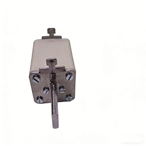 Высококачественный керамический термопредохранитель 100А 690В, квадратный, 3N E1021-0, для эффективной защиты - Product Image 4