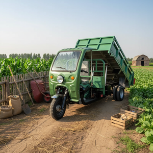 Tricycle motorisé 200CC à 3 roues pour le transport de marchandises, véhicule agricole à benne basculante <span class=keywords><strong>grande</strong></span> capacité pour la vente - Product Image 5