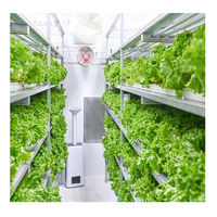Système de culture hydroponique vertical Sinok Container Farm pour la laitue et les légumes à feuilles vertes, conteneur hydroponique NFT, conteneur pour micro-légumes