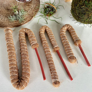 Poteau en mousse <span class=keywords><strong>pour</strong></span> plantes Monstera Poteaux en mousse <span class=keywords><strong>pour</strong></span> l'escalade Bâtons de plantes pliables Supports de plantes <span class=keywords><strong>pour</strong></span> intérieur/extérieur - Product Image 3